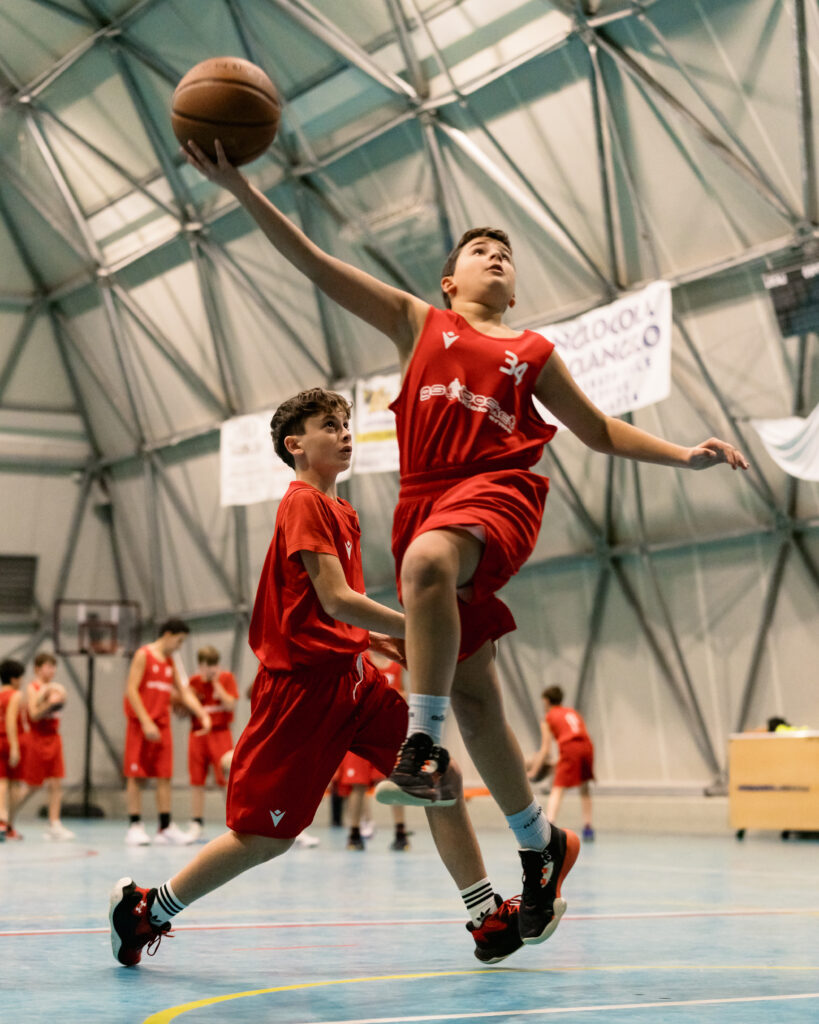 Grifo Basket Imola: Basket · Imola